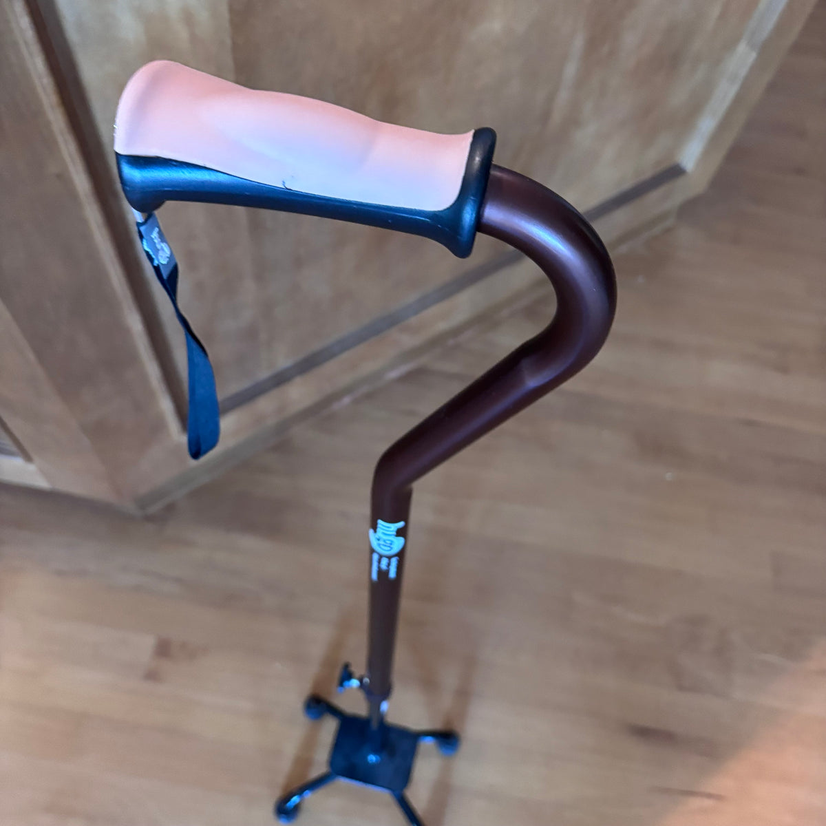 X255 Walking cane