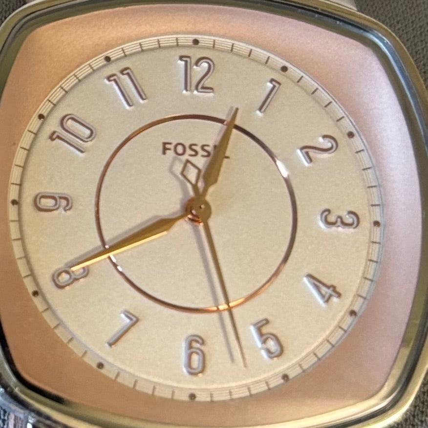D101 Fossil Watches Grouping (leather bands)