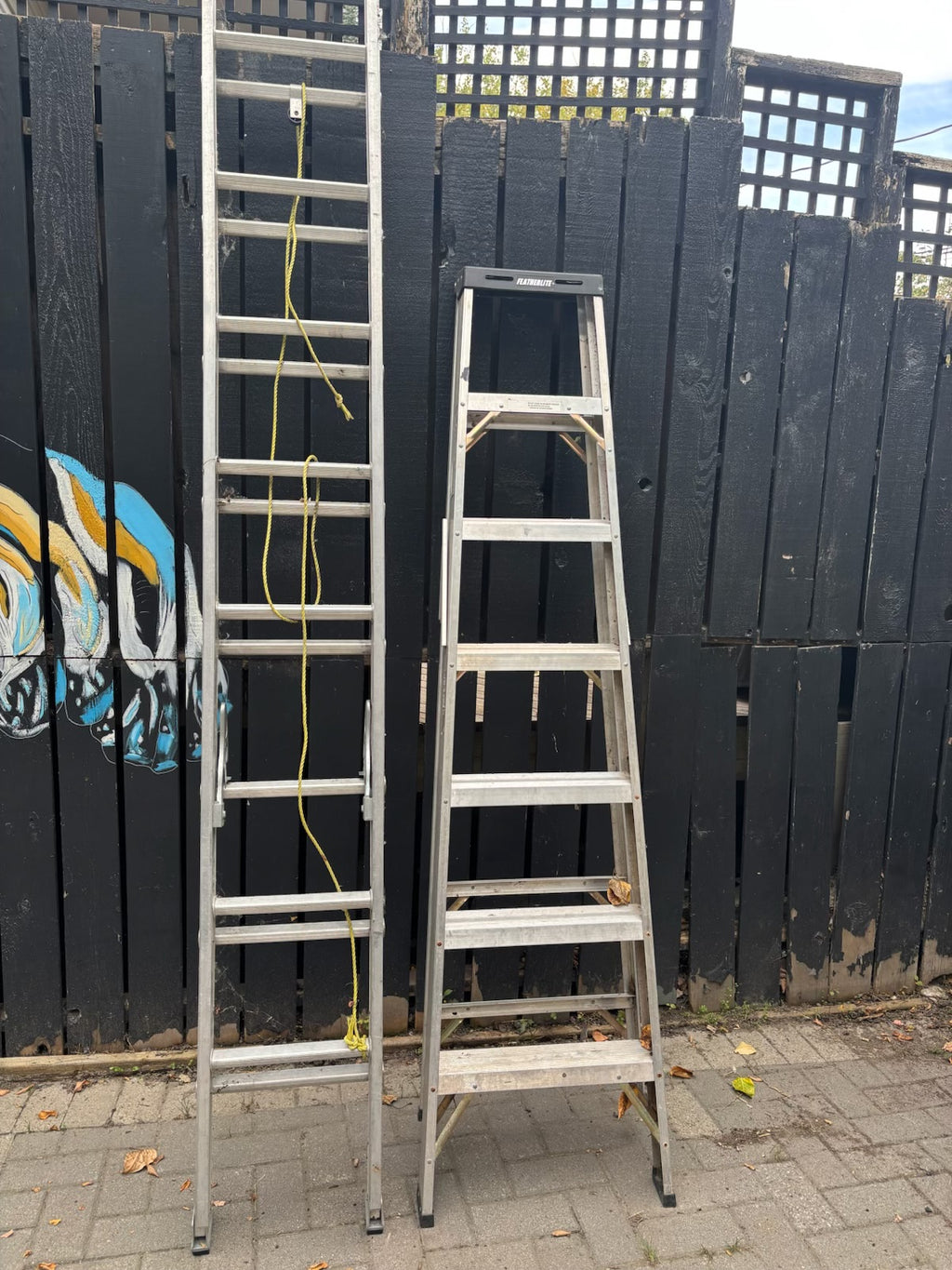 E324 2 ladders