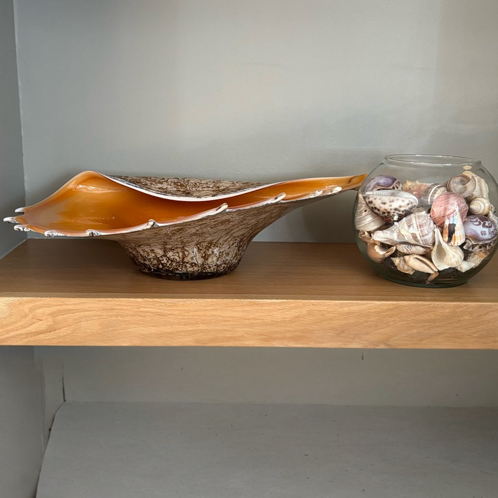 D104 Home Decor Grouping (Shells and Glass shell dish)