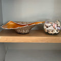 D104 Home Decor Grouping (Shells and Glass shell dish)