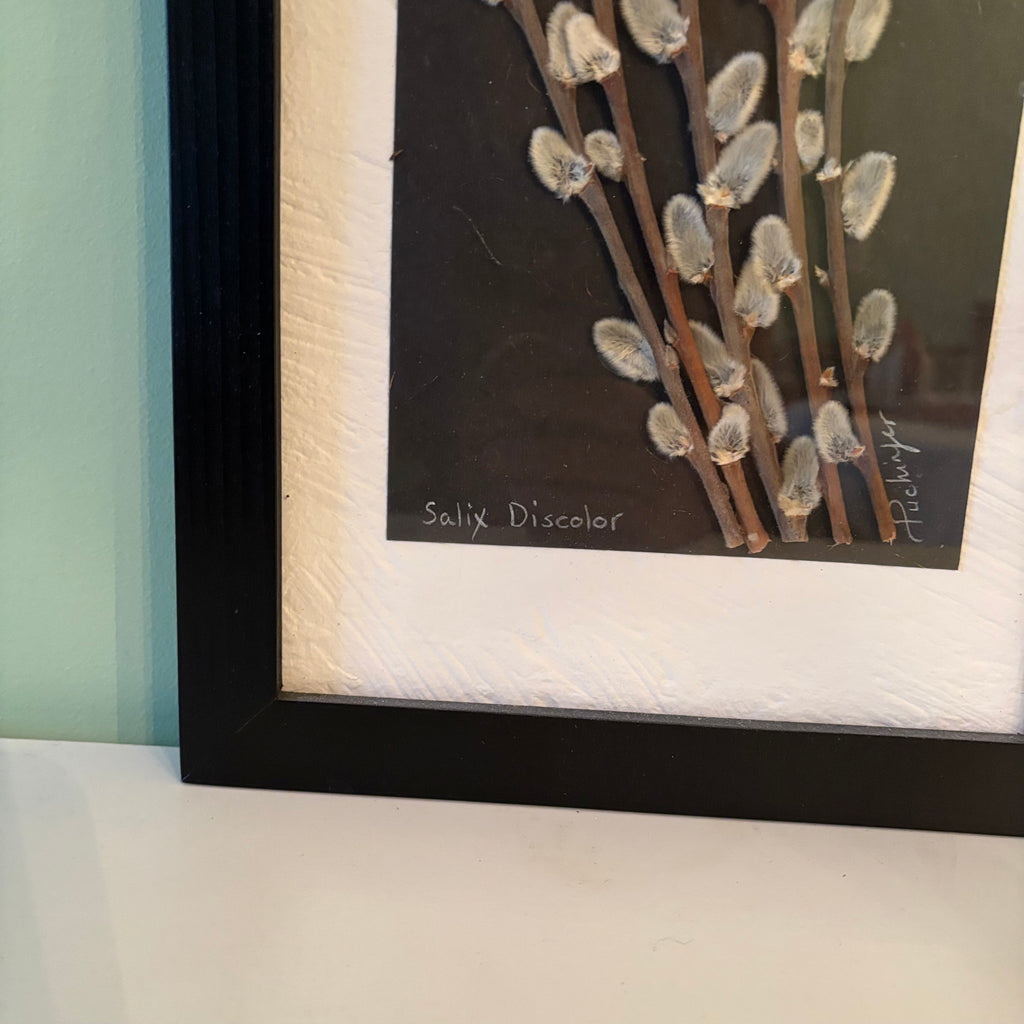 W810 9” x 26” Pressed Wishes