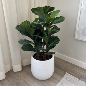 42” Tall Faux Plant in White Stoneware Pot - G314