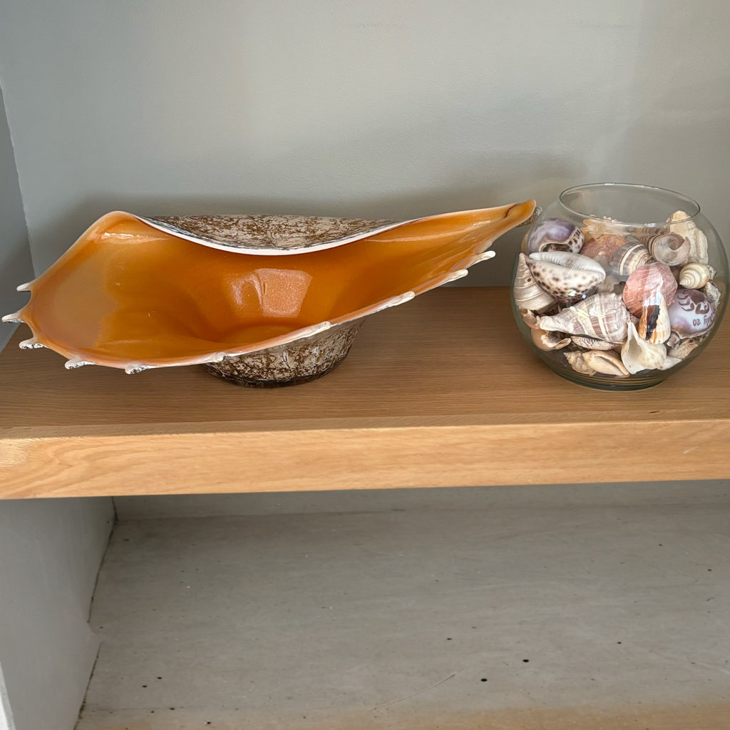 D104 Home Decor Grouping (Shells and Glass shell dish)