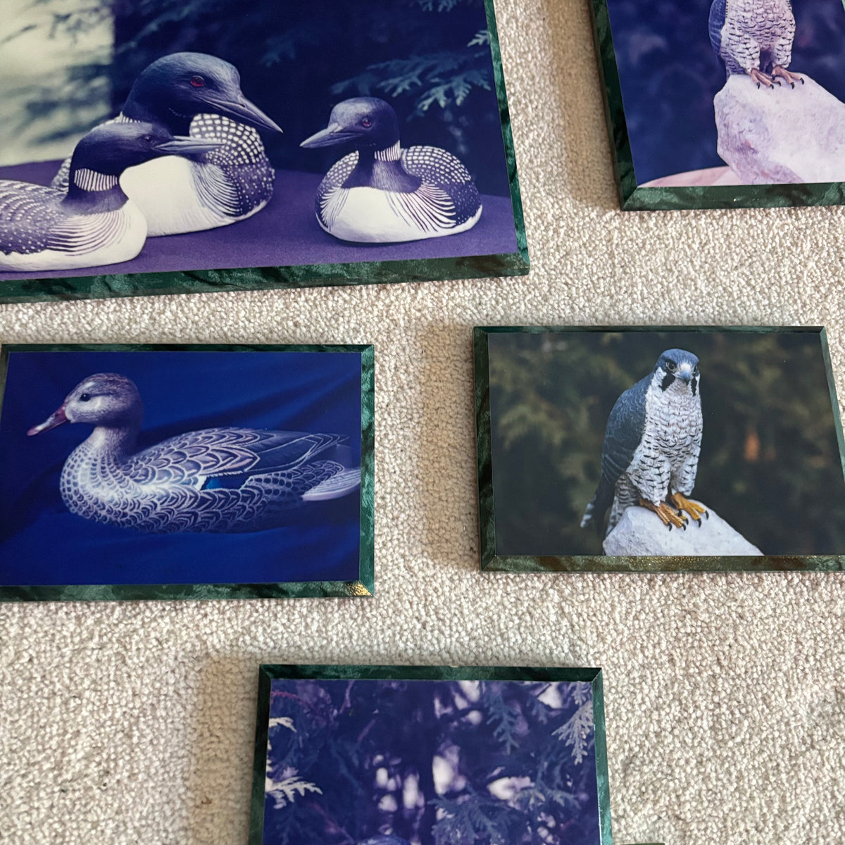 Y163 Vintage bird artwork grouping