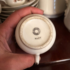 30 PIECE VINTAGE LIMOGES HAVILAND COFFEE SET (SOME SMALL CHIPS ON EDGES OF PLATES) - P111