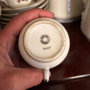 30 PIECE VINTAGE LIMOGES HAVILAND COFFEE SET (SOME SMALL CHIPS ON EDGES OF PLATES) - P111