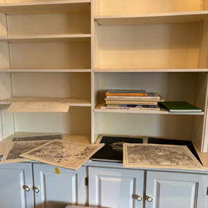 VINTAGE BOOKS AND MAPS GROUPING - P238
