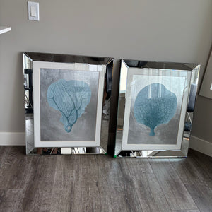 Set of 2 silver metal framed artwork (33'x26')- S640
