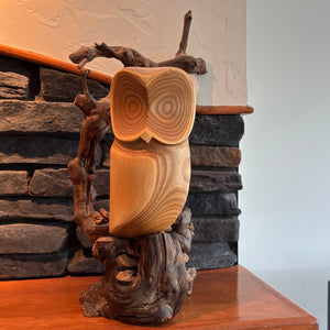 C754 Norman Peterson Vintage wooden carved owl mounted on driftwood style base