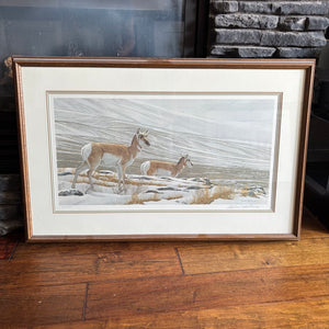 C793 Robert Bateman print, "Big Country-Pronghorn Antelope" (21” x 32.5”)