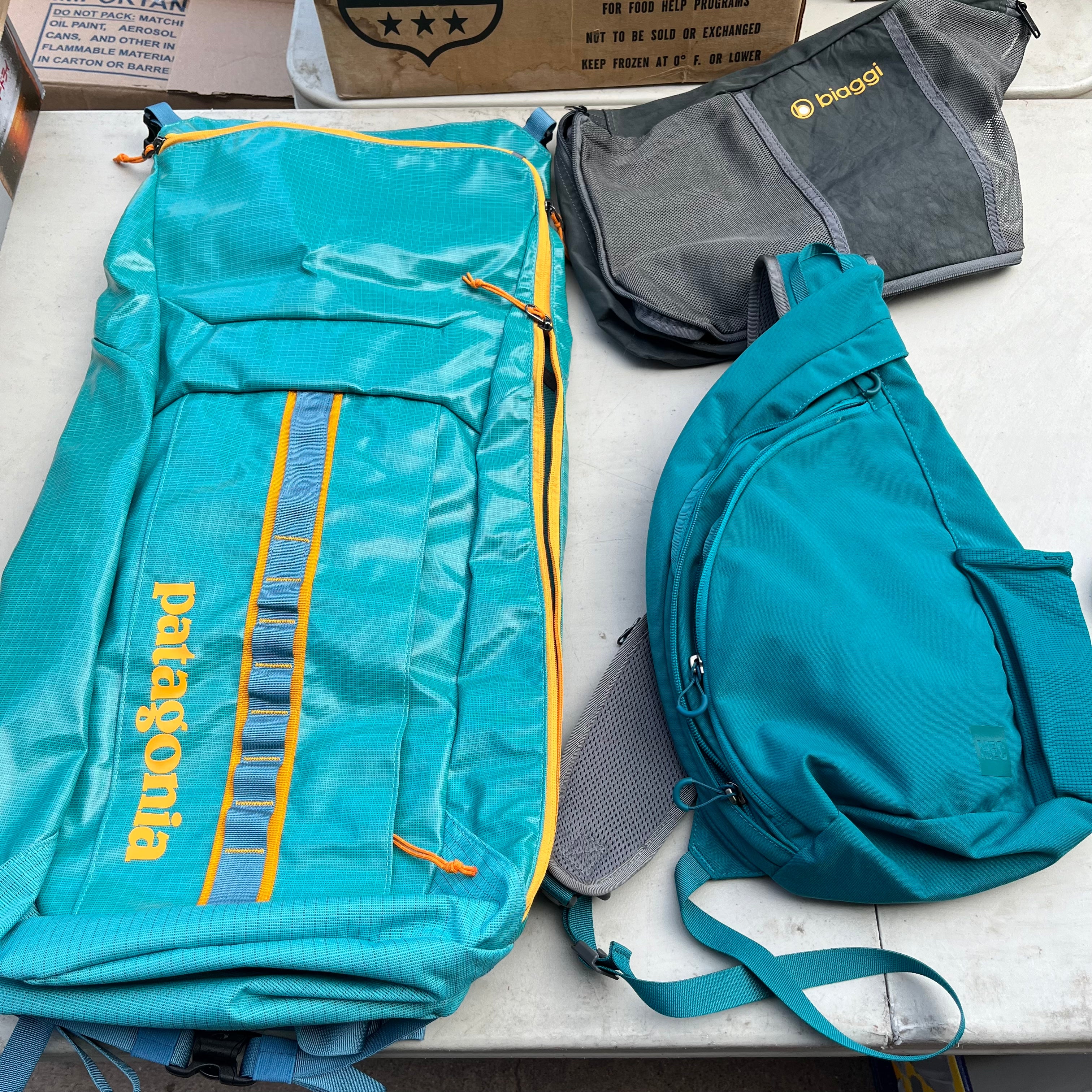 D601 Bag grouping (Patagonia 25L black hole pack and more)