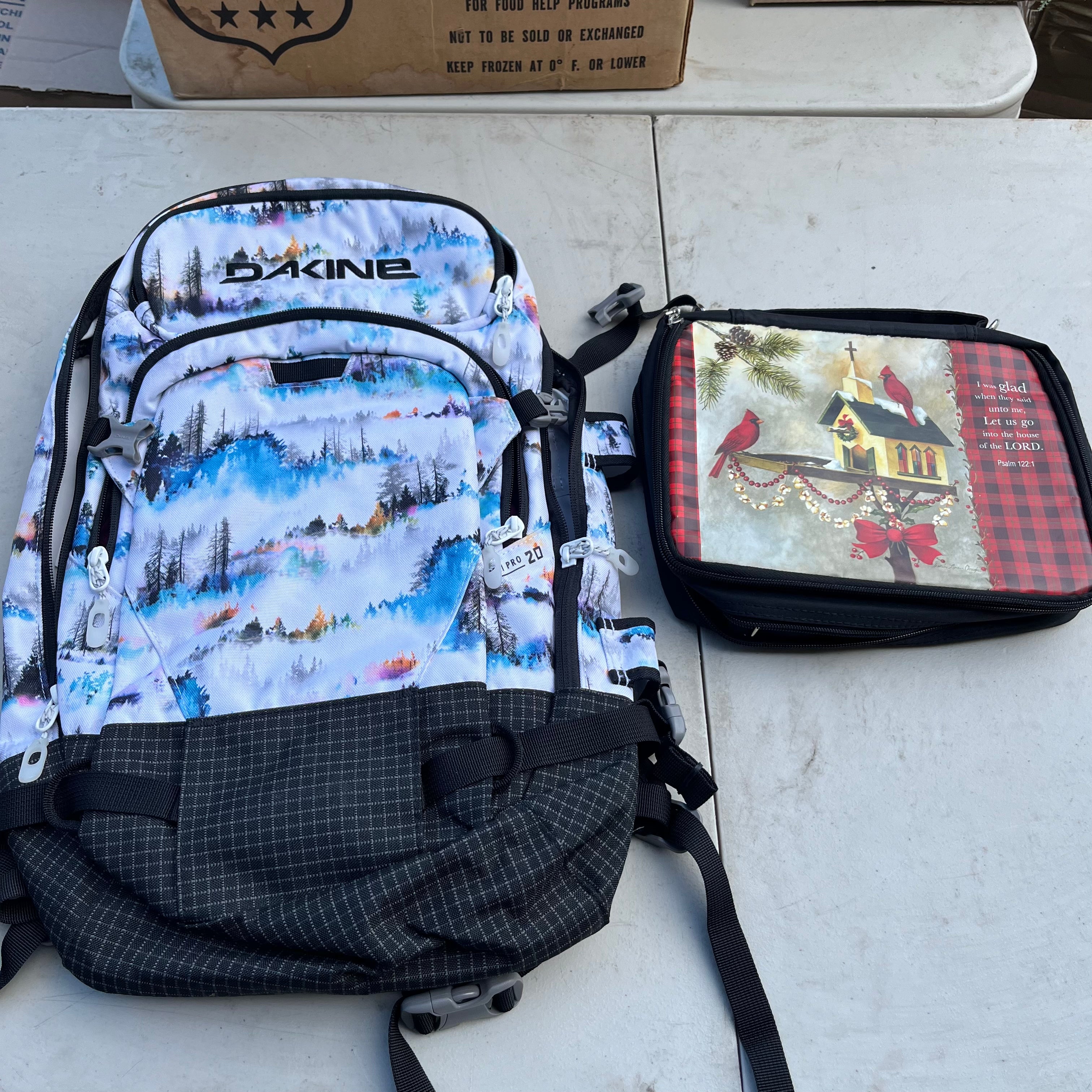 D602 Dakine Heli Pro 20L backpack with lunchbag