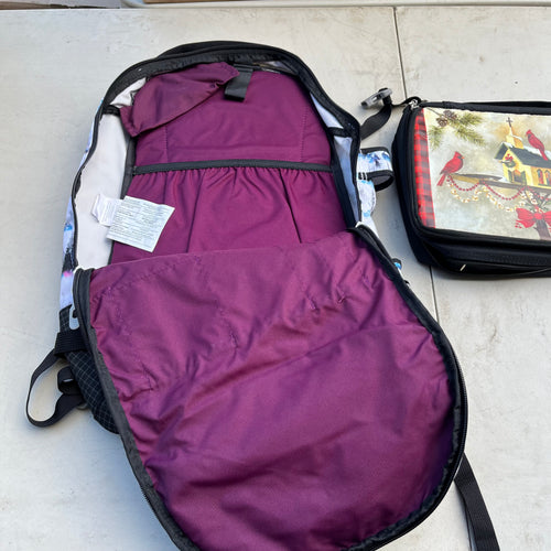 D602 Dakine Heli Pro 20L backpack with lunchbag