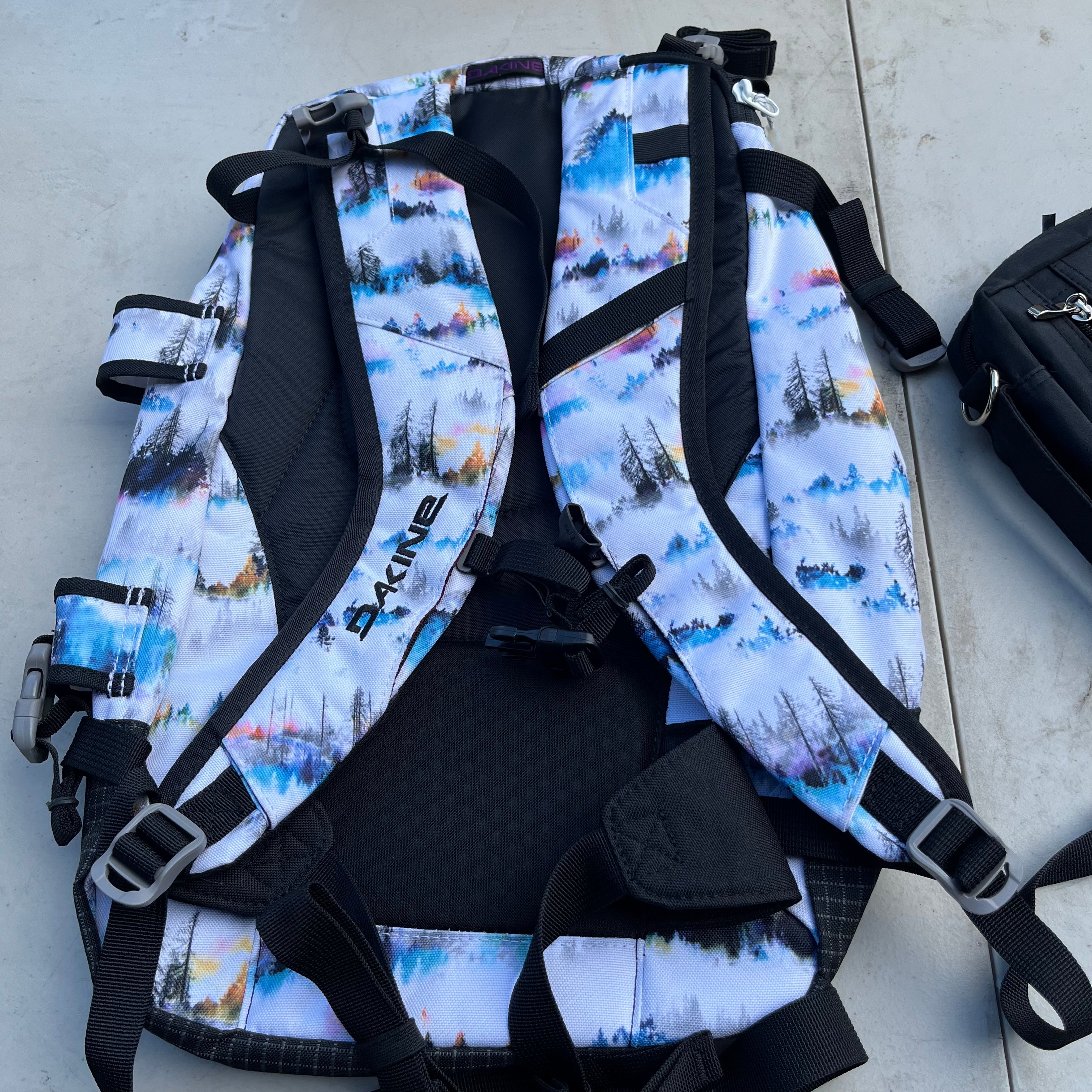 D602 Dakine Heli Pro 20L backpack with lunchbag