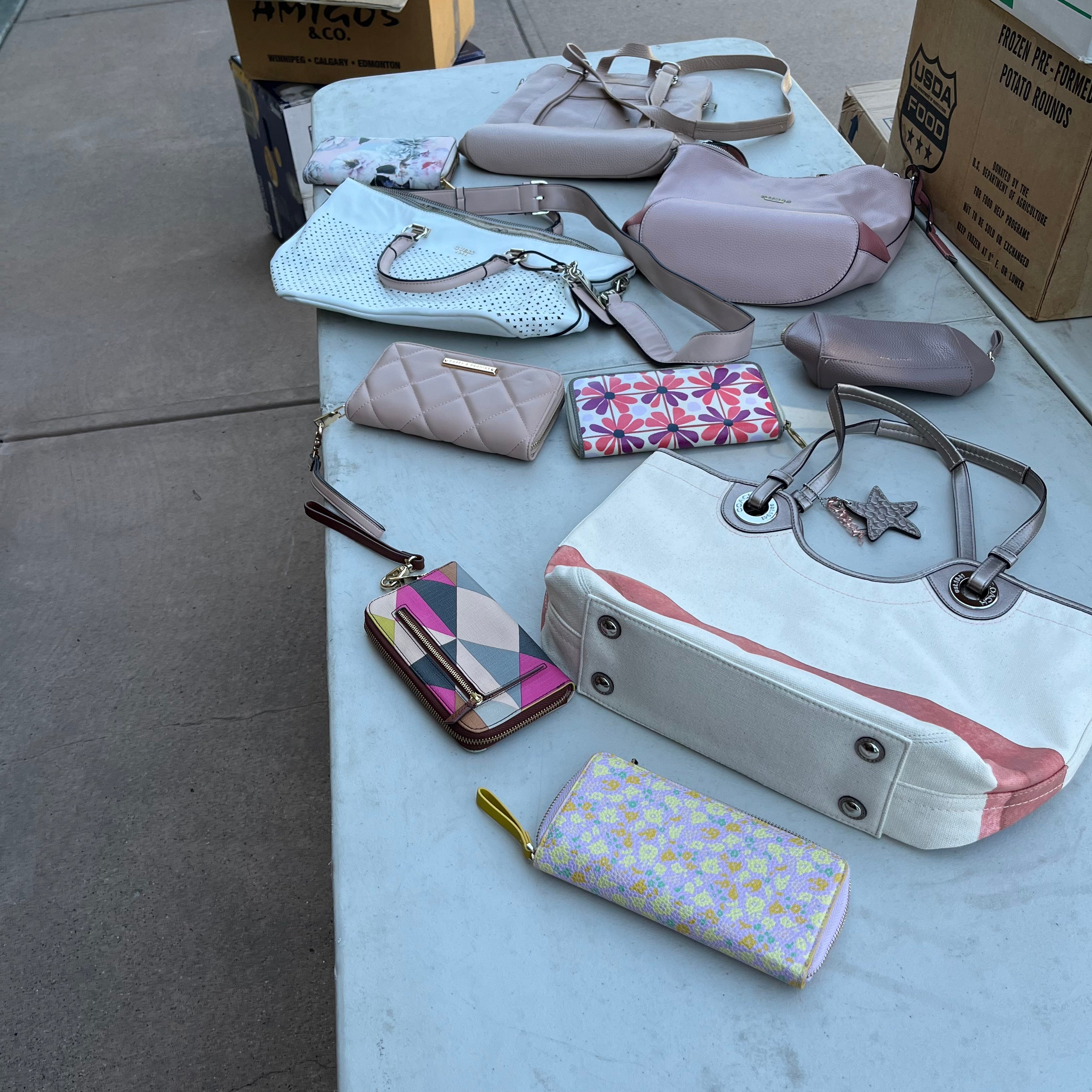 D609 Pink Purse and Wallet Grouping (Quince leather backpack, Poppies & Peonies, Coach and more)
