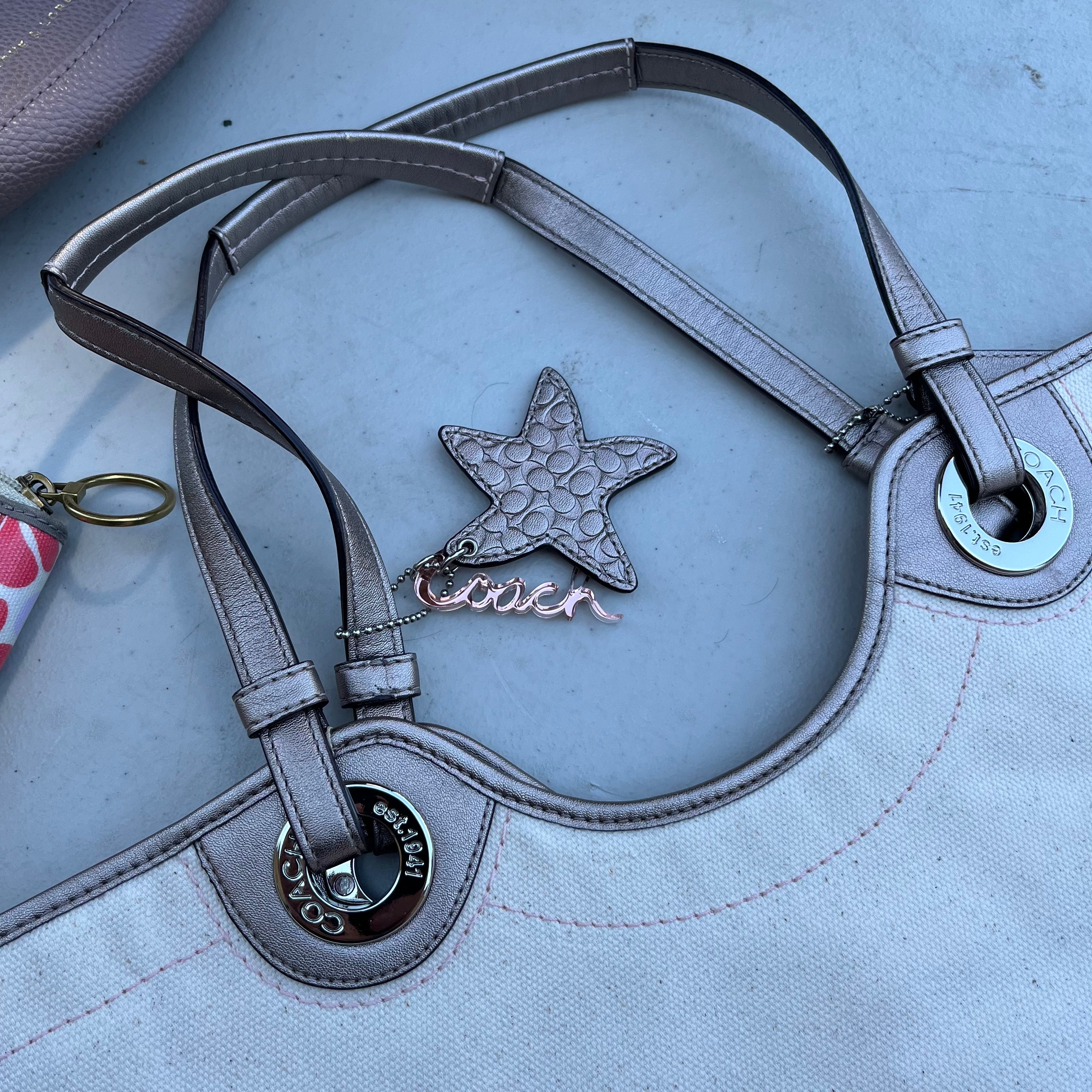D609 Pink Purse and Wallet Grouping (Quince leather backpack, Poppies & Peonies, Coach and more)
