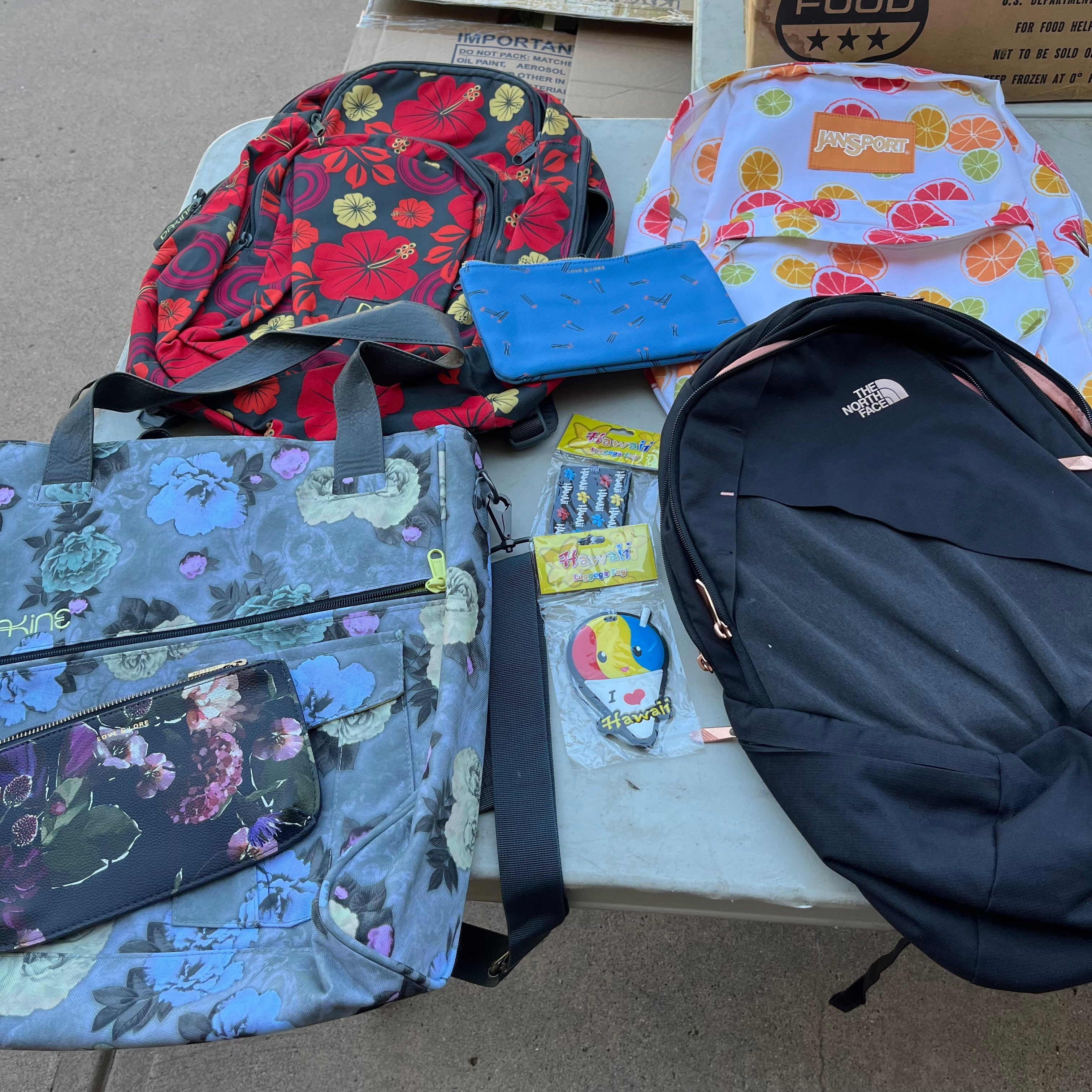 D611 Floral back pack grouping (North Face, Jansport, and Dakine)