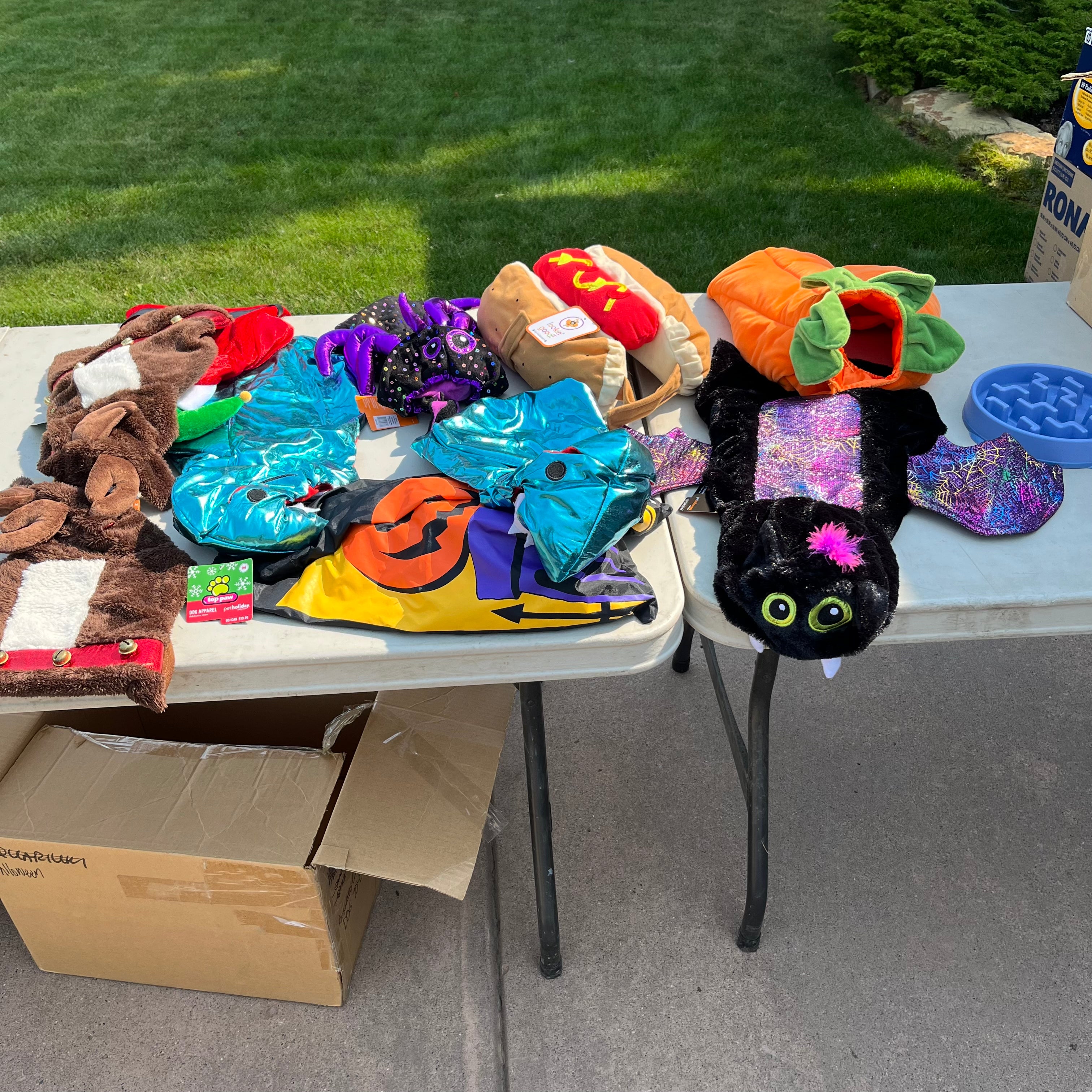 D659 Dog costumes grouping (tables not included)