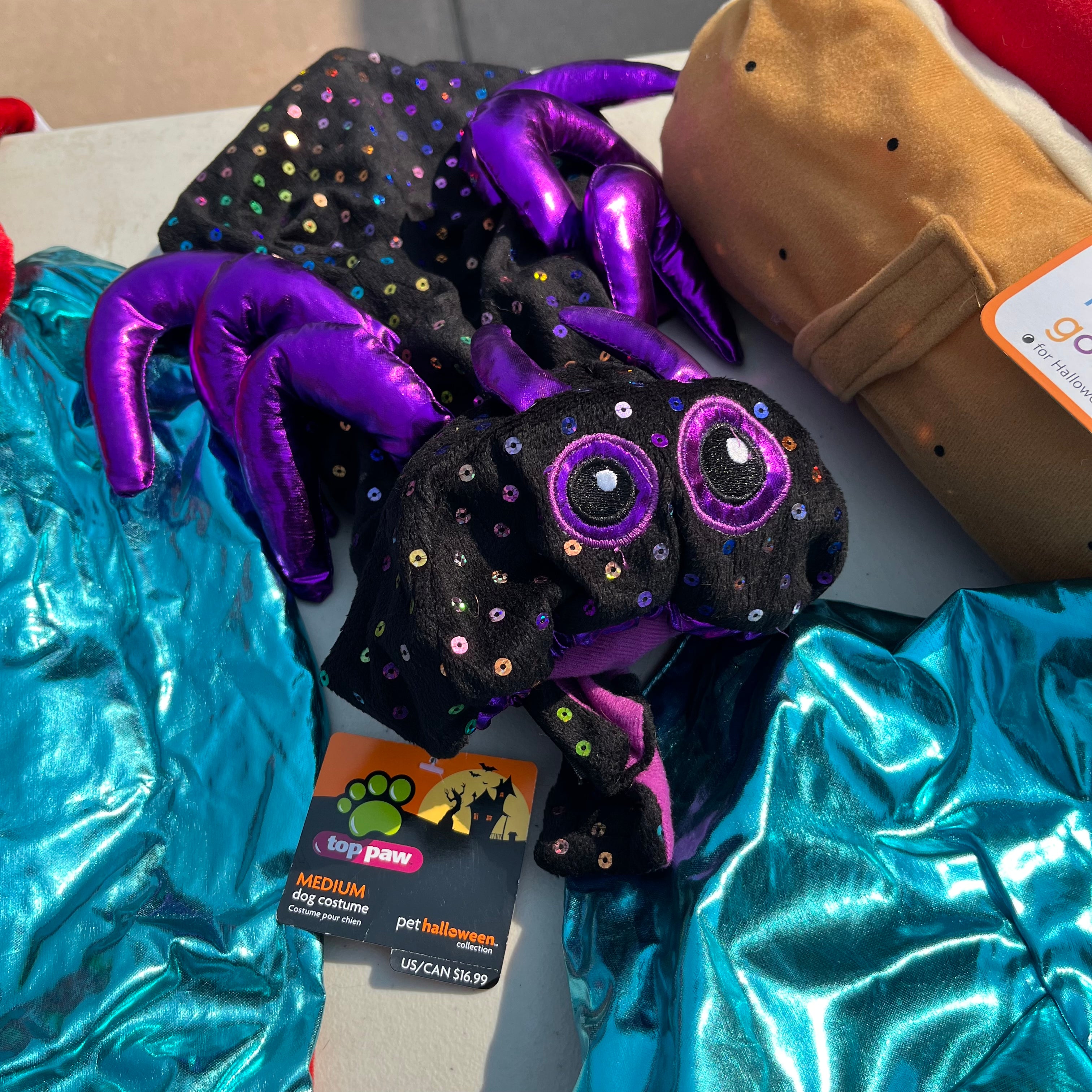 D659 Dog costumes grouping (tables not included)