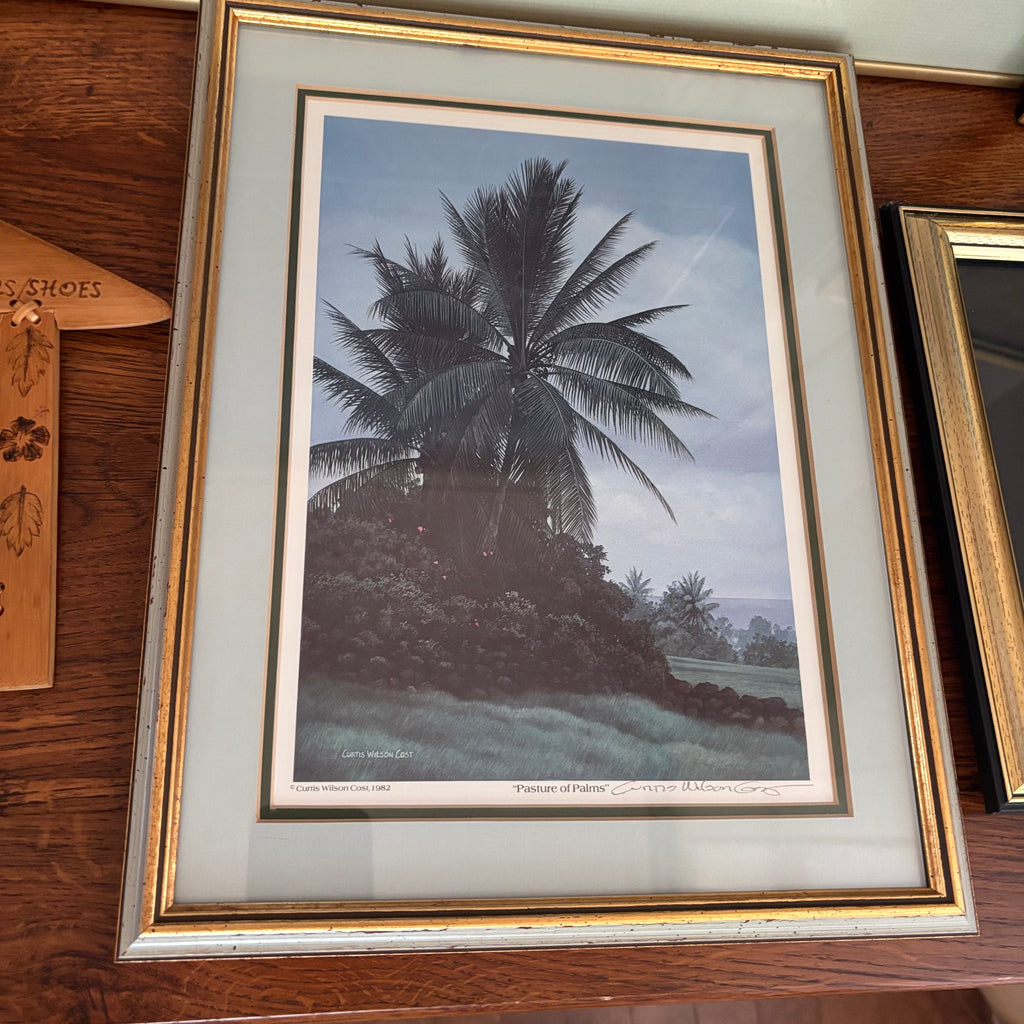 E731 Vintage photography Grouping (Hawaii souvenirs and more)