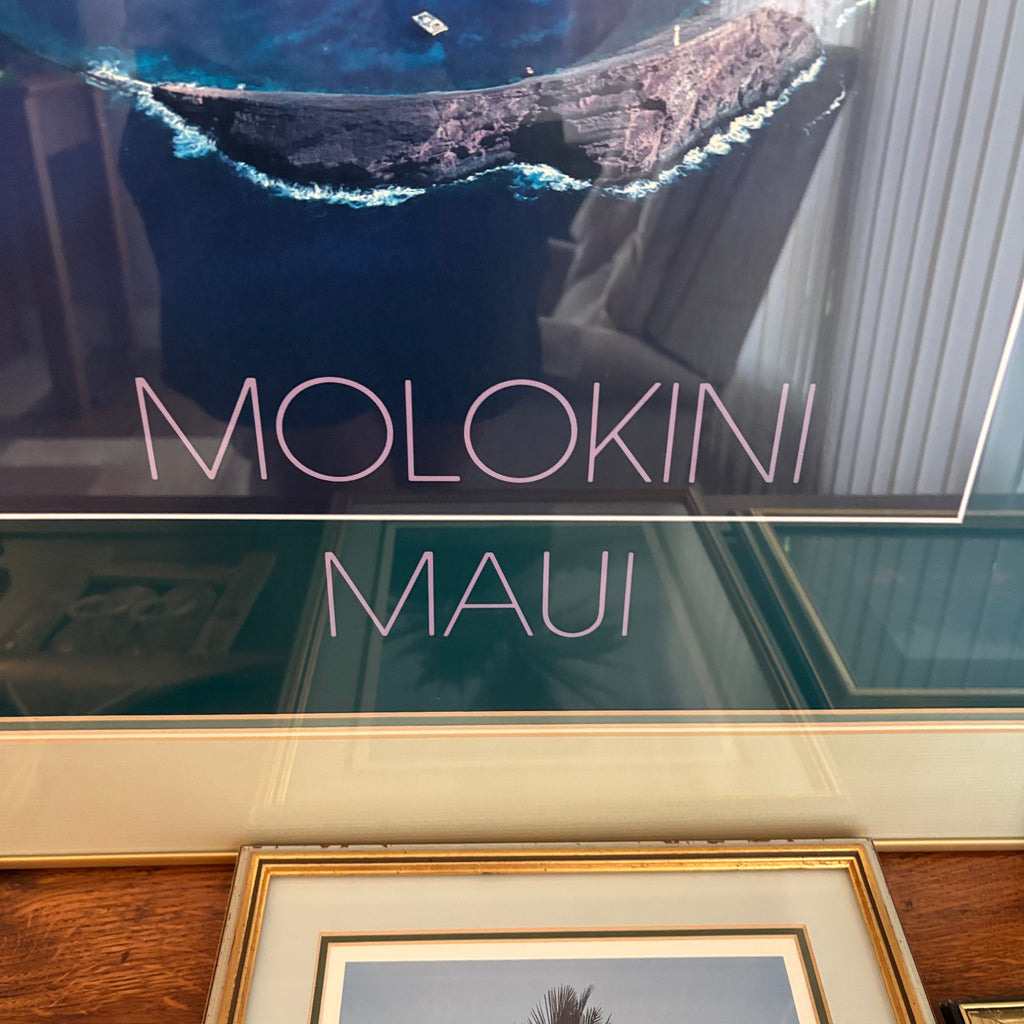 E731 Vintage photography Grouping (Hawaii souvenirs and more)
