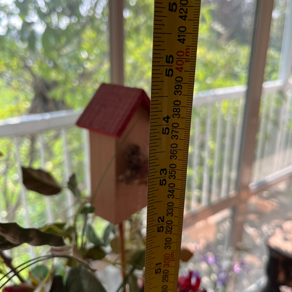 F504 Plant Grouping (plant stands and more)