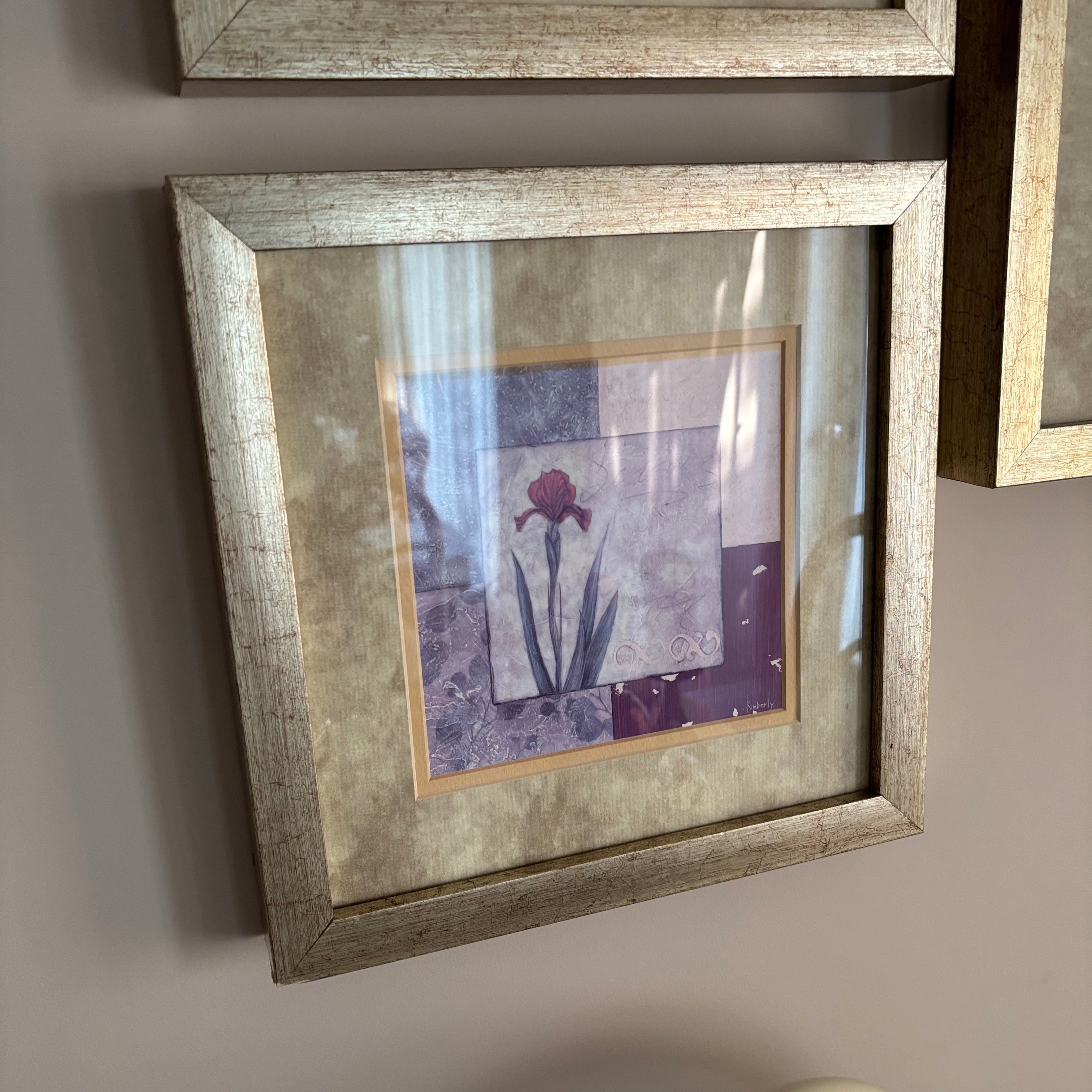 E762 Set of 3 Kimberley Baker art prints with silver frames