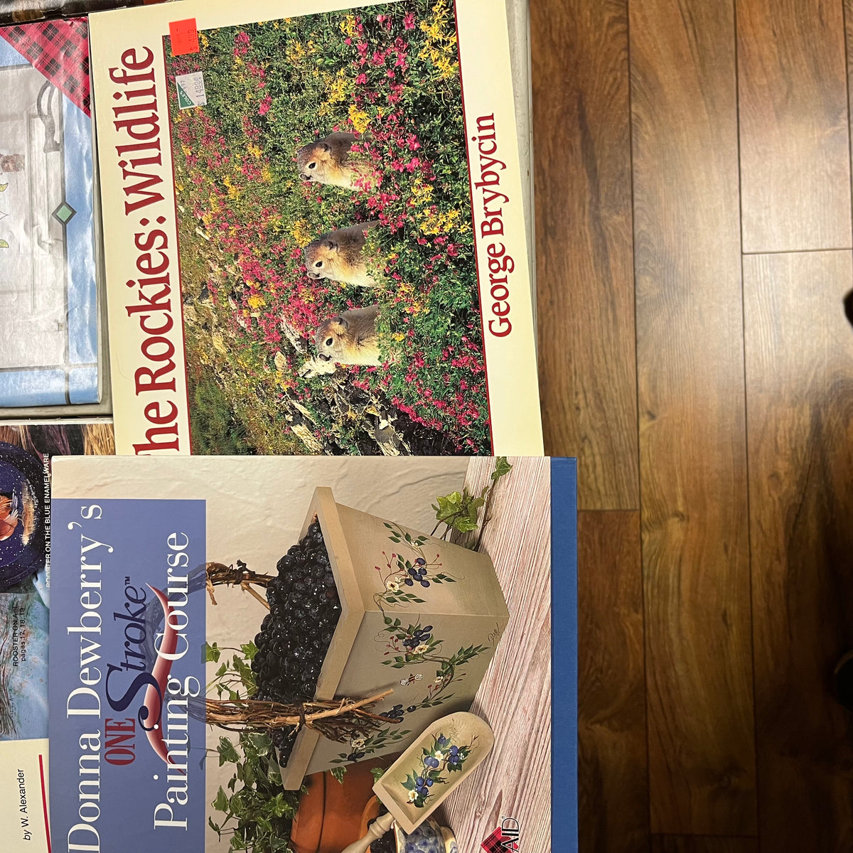 F518 Art Book Lot