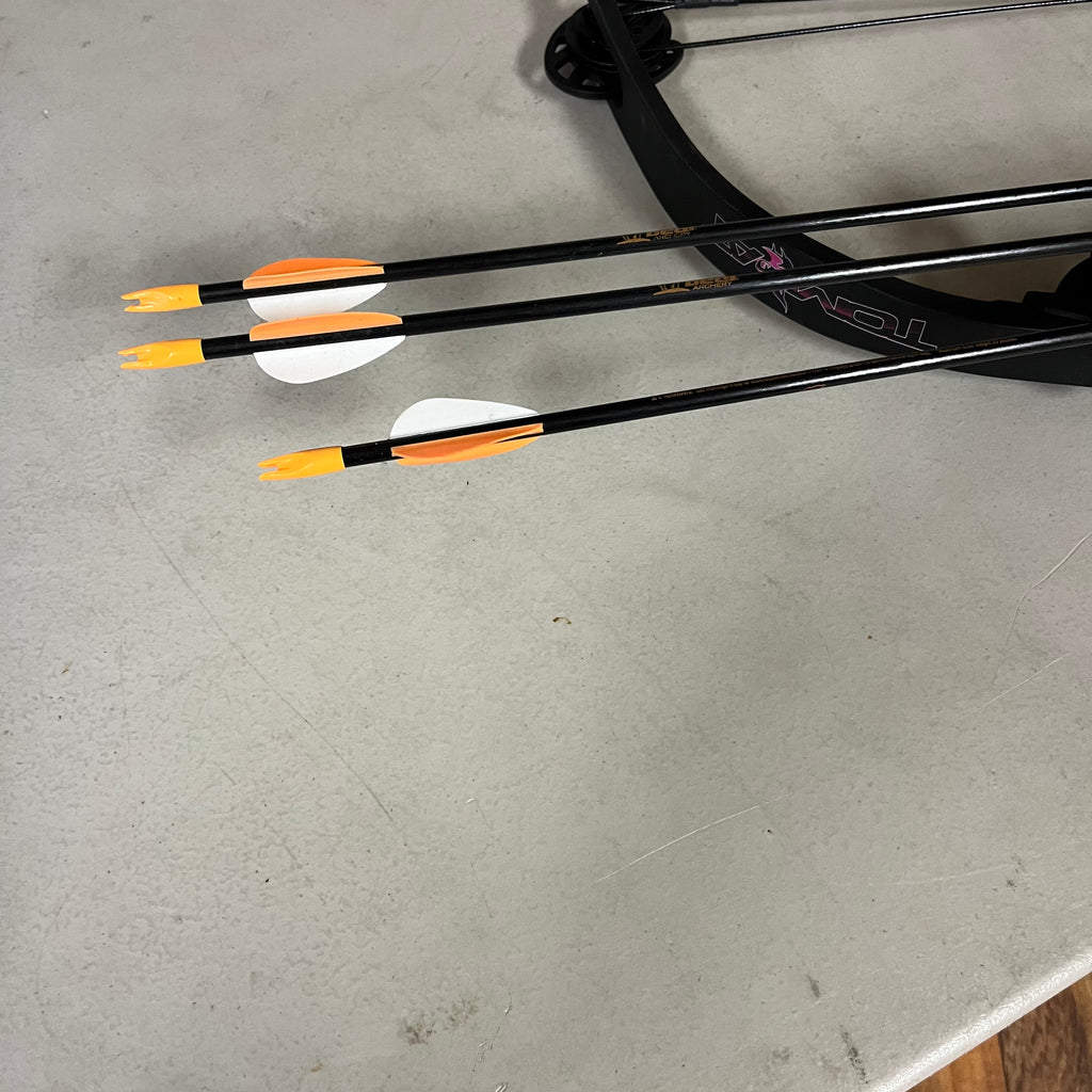 F542 Set of 2 compound bows with arrows