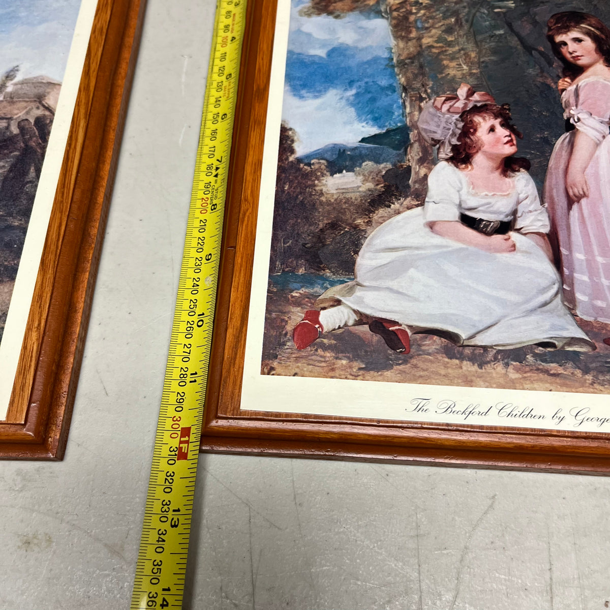 F572 Set of 5 framed vintage prints