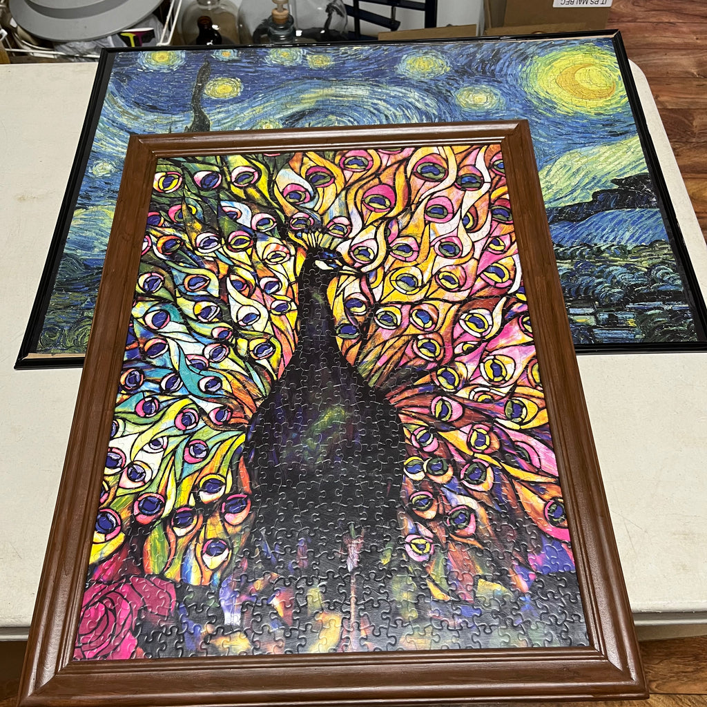 F574 Set of 2 framed puzzles (Starry Night and Peacock)