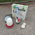 F133A Chicken Grouping (incubator, waterer and more)