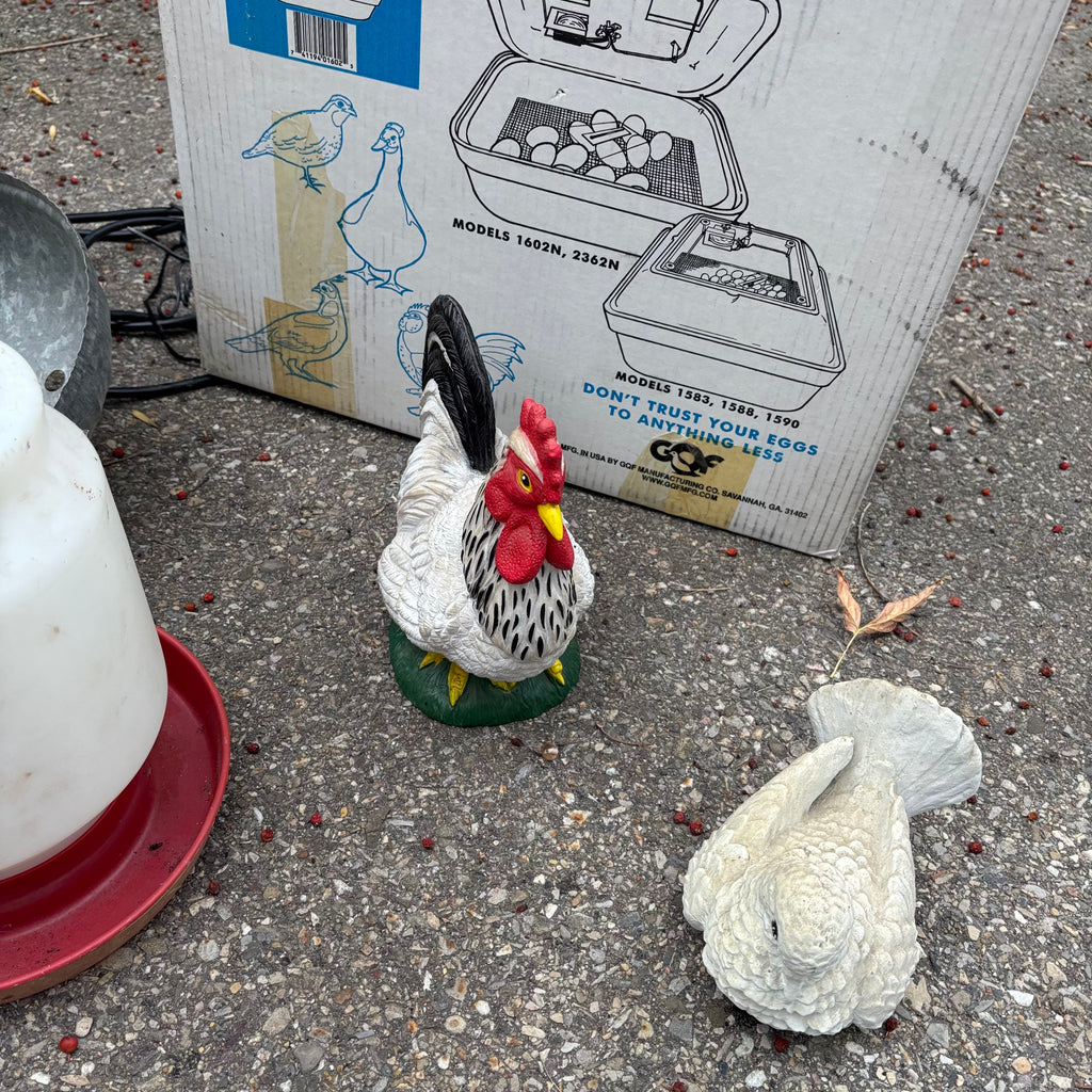 F133A Chicken Grouping (incubator, waterer and more)