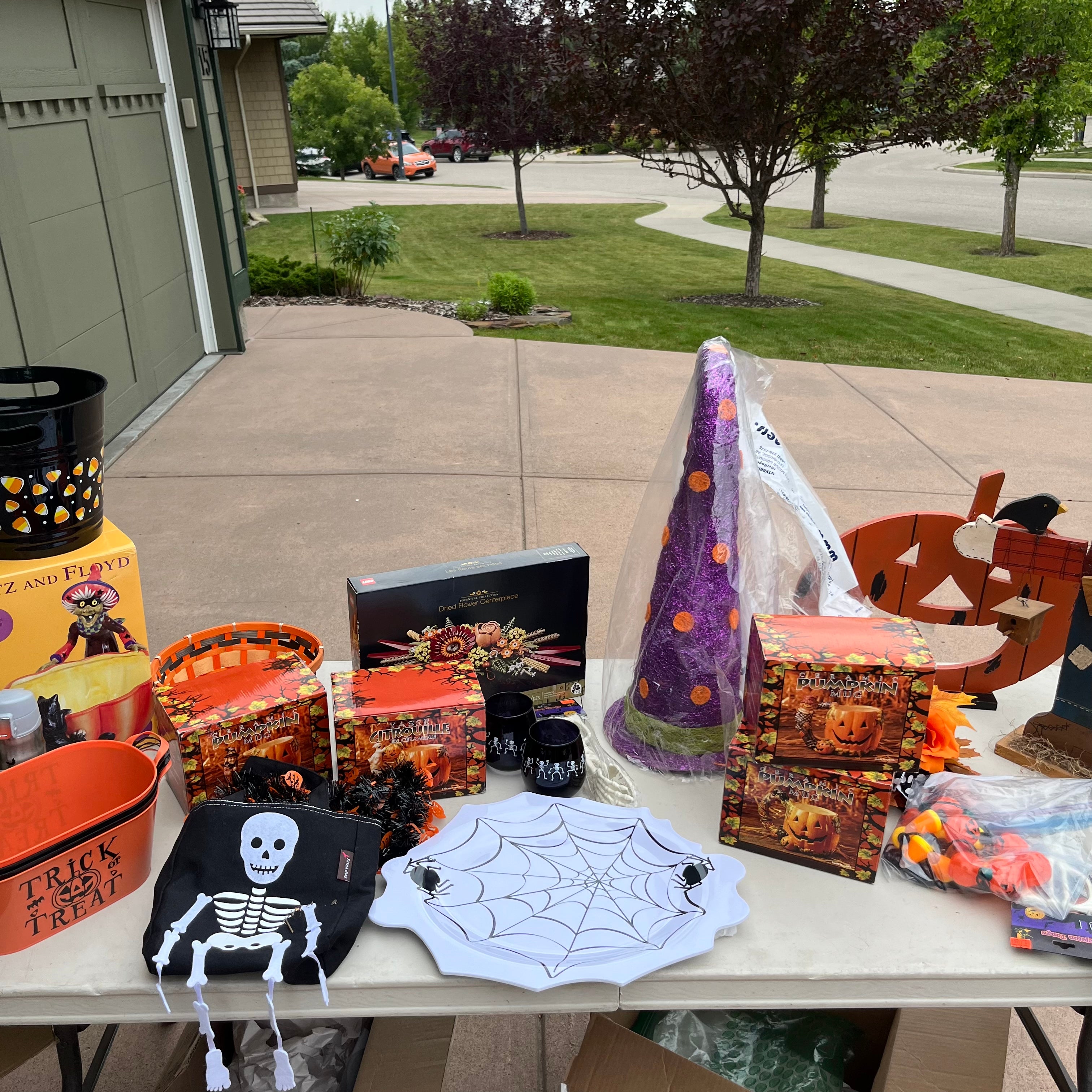 D705 Halloween Decor Grouping