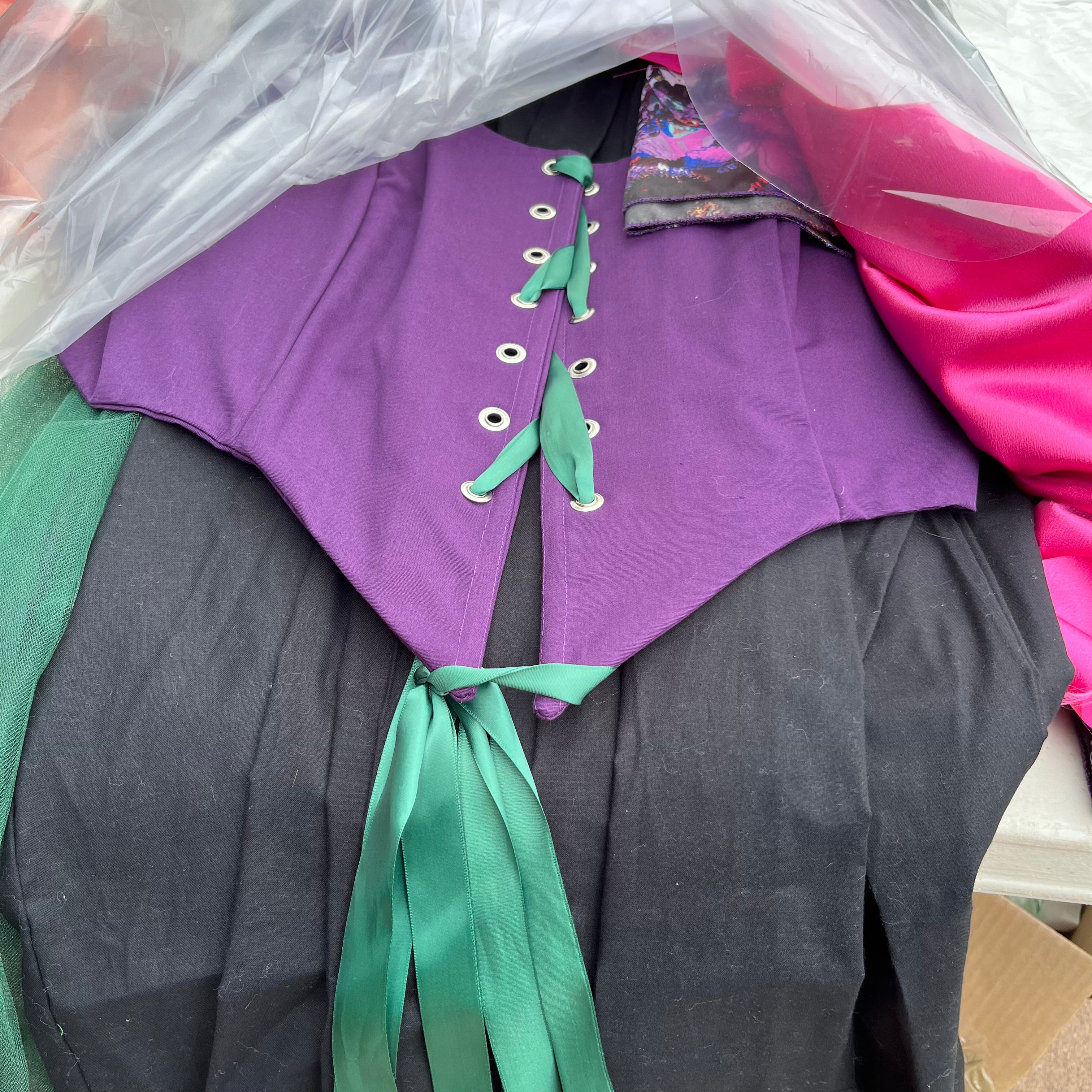D708 Plus Size Mad Hatter Costume