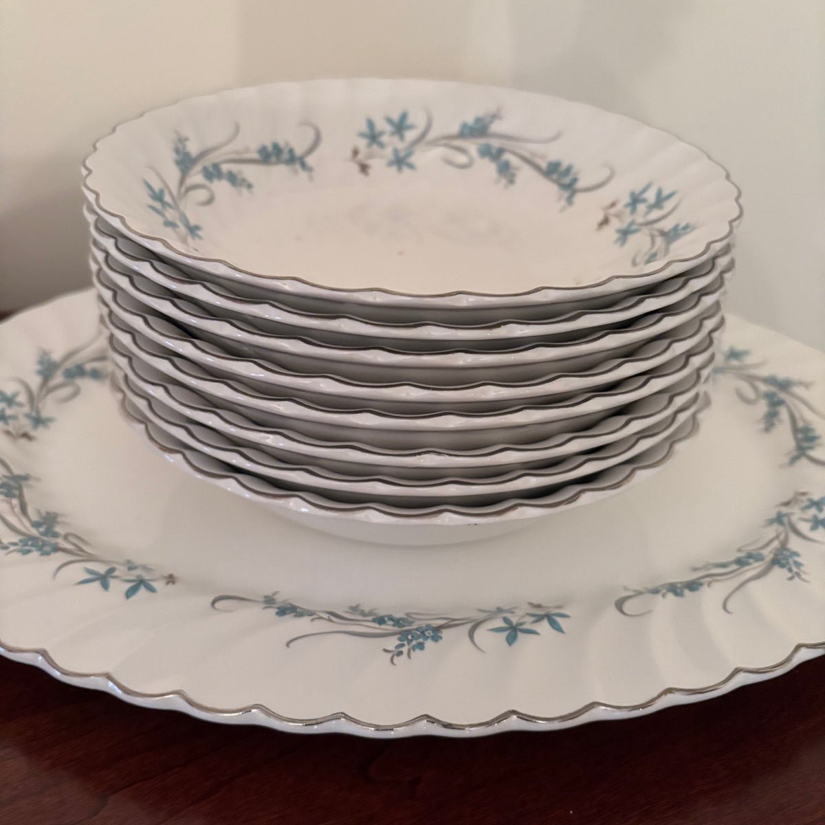 F156 Vintage china plate grouping (Johnson Bros Snowhite Regency)