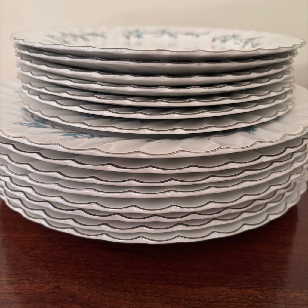 F156 Vintage china plate grouping (Johnson Bros Snowhite Regency)