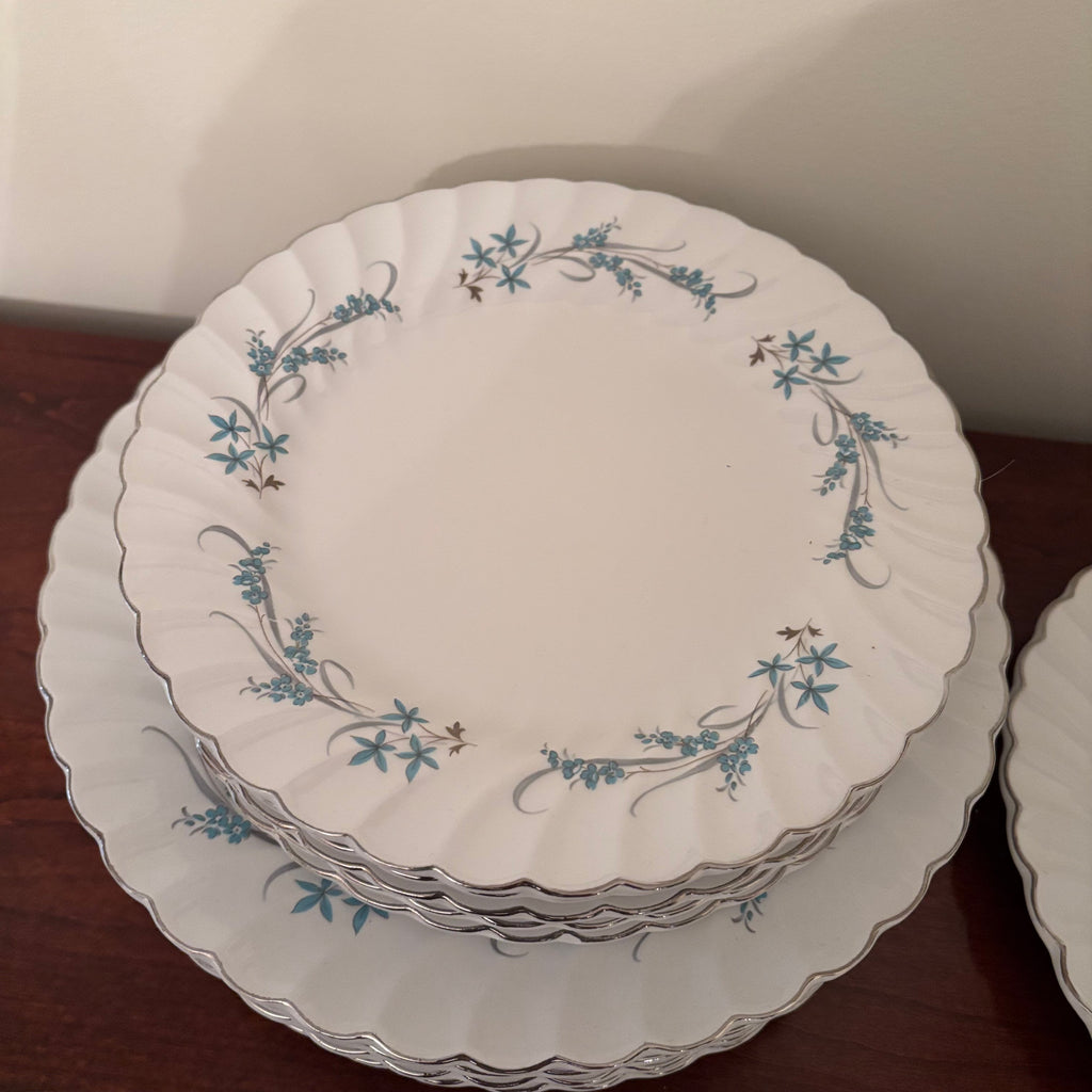 F156 Vintage china plate grouping (Johnson Bros Snowhite Regency)