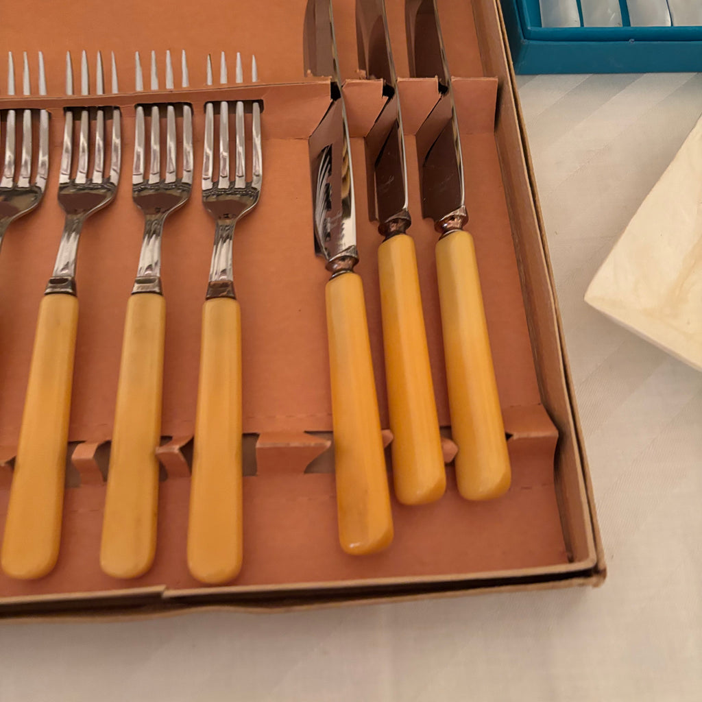 F173 Vintage Cutlery Grouping (Birks Mother of Pearl handled knives and fish knife set)