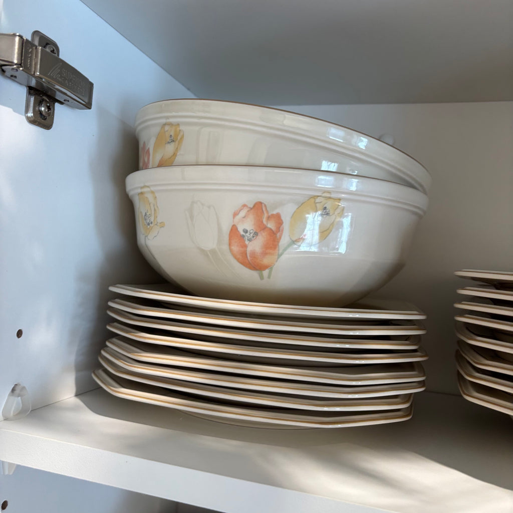 F791 Vintage Mikasa Continental Ivory Dutch Garden dinnerware set