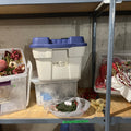 E551 Christmas grouping (table wreath and more)