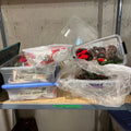 E552 Christmas grouping (pine cones and more)