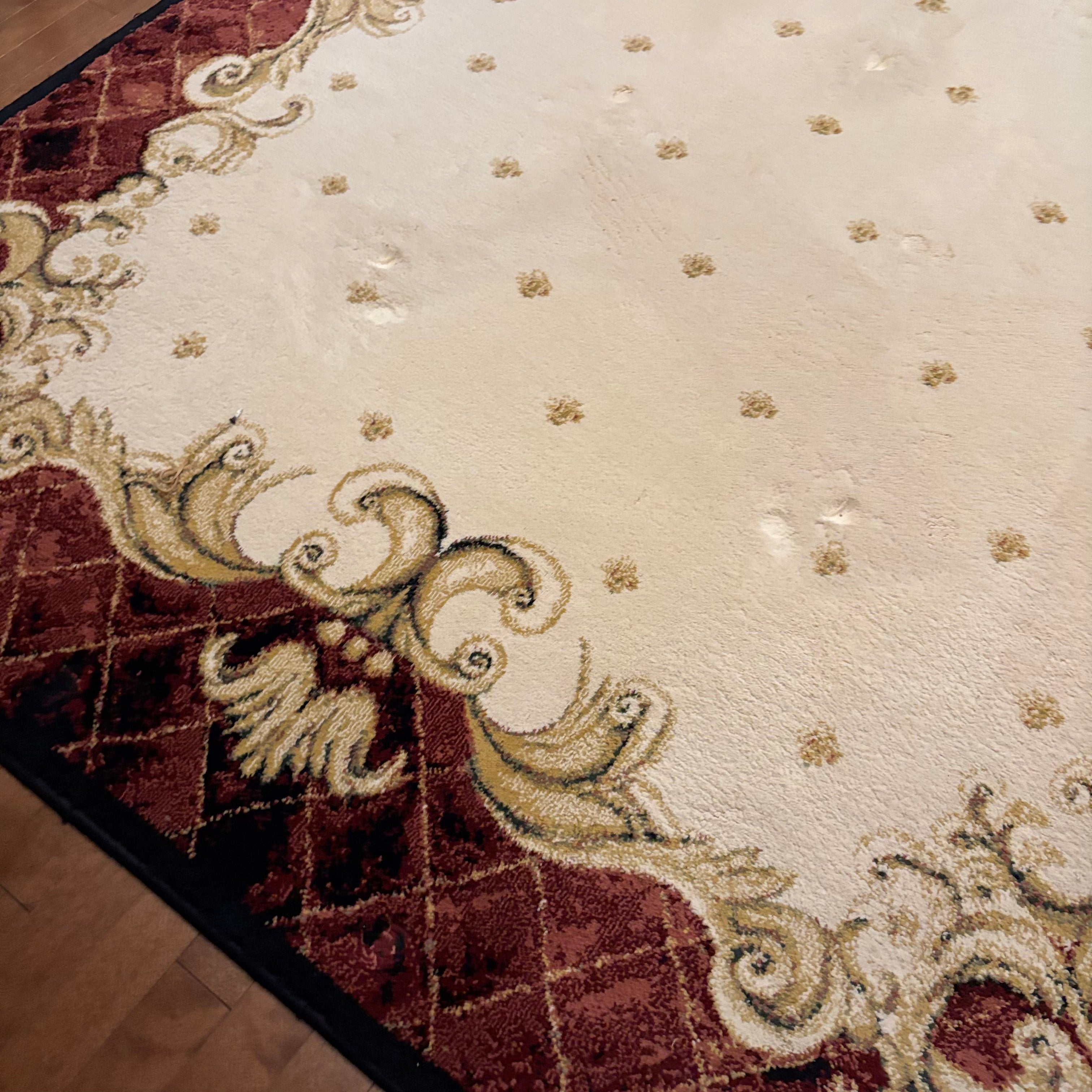 F827 Shaw Rugs "Enchantment" area rug (5' x 7')
