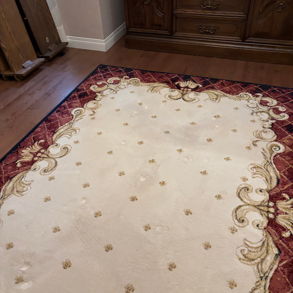 F827 Shaw Rugs "Enchantment" area rug (5' x 7')