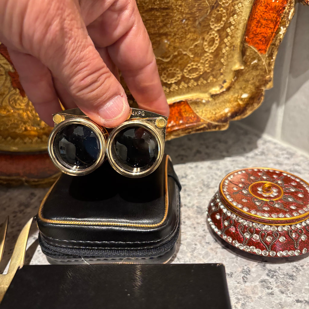 F830 Home decor and more grouping (tortoise shell theatre binoculars and more)