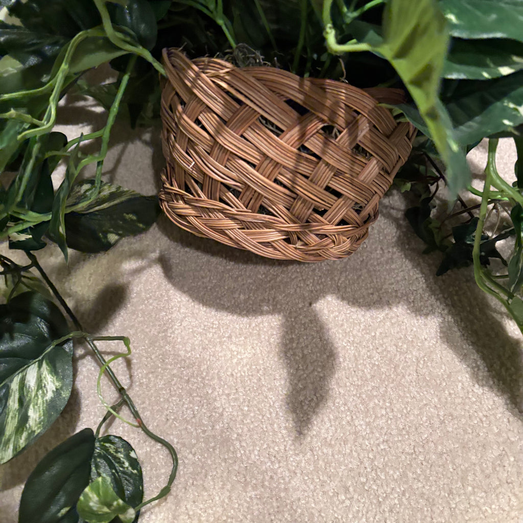 F841 Faux tree and greenery