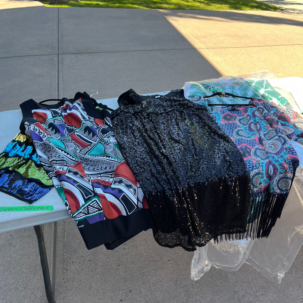 D734 Halloween costumes grouping (sequin dress and more)