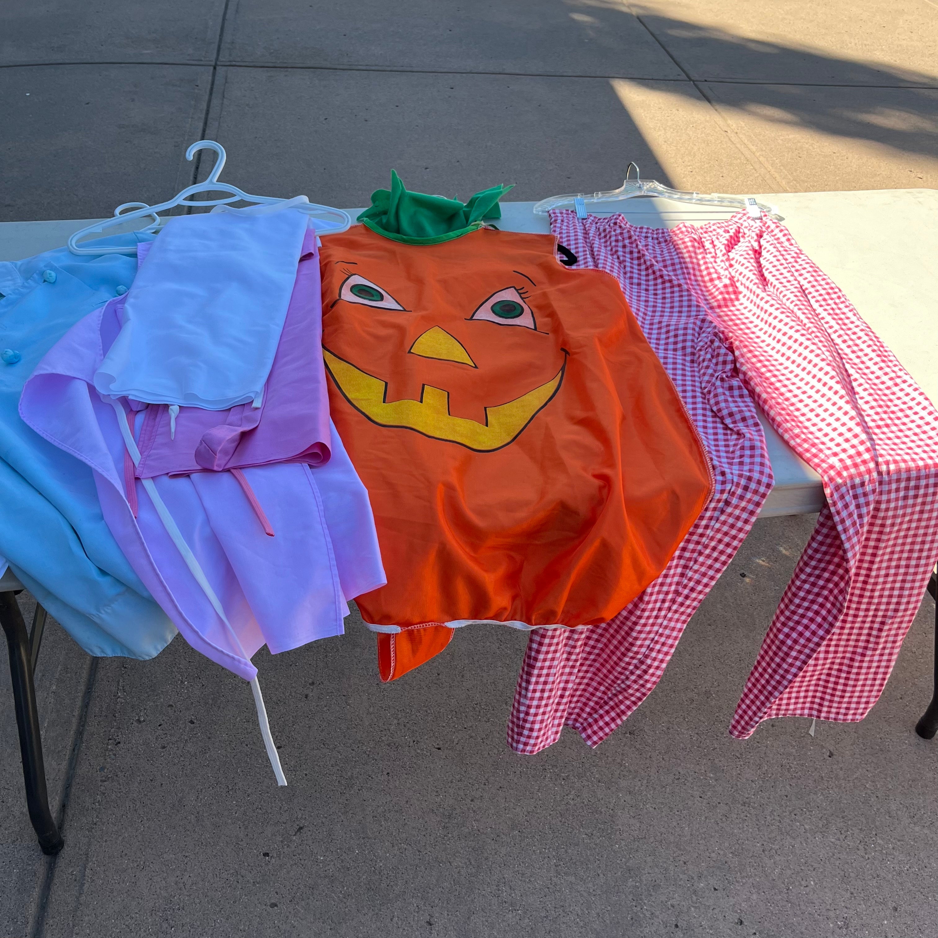 D739 Halloween costumes (pumpkin and more)