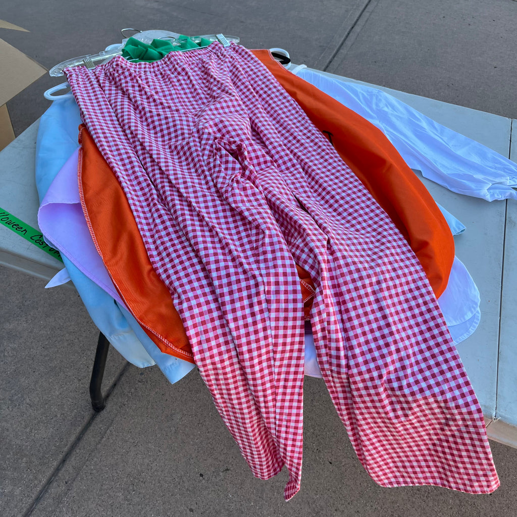 D739 Halloween costumes (pumpkin and more)